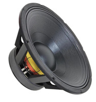 VJPD2155 21" 8 Ohm 4000W Subwoofer Haut-parleur audio professionnel