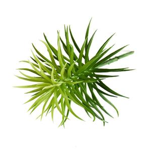 Ramo <span class=keywords><strong>de</strong></span> Plantas Artificiales, Suministros <span class=keywords><strong>de</strong></span> Jardín, Plantas Verdes, Panel <span class=keywords><strong>de</strong></span> Pared Artificial, Cobertizo <span class=keywords><strong>de</strong></span> Jardín Realista, Plantas Suculentas al por Mayor - Product Image 3