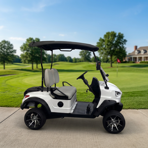 Carrito de Golf Eléctrico Mini de Primera Calidad con Certificación CE, con un Diseño Mejorado, Certificado por la CE, GCC y EEC para Carreteras No Públicas - Product Image 3