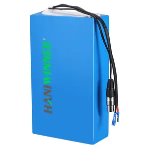 Custom Electric Bike Battery Case 18650 Cells 24V 36V 48V Lithium Ion Battery Pack For Ebike