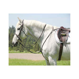 Conjunto de Cabezada y Pechera de Cuero Premium para Caballo - Duradero, Elegante, Cómodo y Perfecto para Todas las Aventuras Ecuestres - Product Image 3