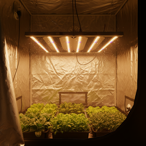 Barres de lampes de culture à spectre complet SLTMAKS 720W, horticulture, serre, Samsung 2,6 Umol, lumière LED de culture pour culture en intérieur - Product Image 1