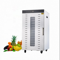 Visuele Temperatuurregeling Groente- en Fruitdroger Commerciële RVS Gedroogde Fruitmachine Huishoudelijk