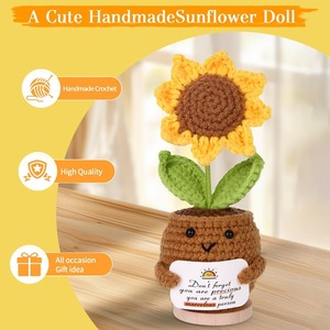 Paquete de cuidado único, caja de amistad con rayos de sol para madre, hermanas y esposa, regalo de recuperación temprana y cumpleaños, personalizable - Product Image 5