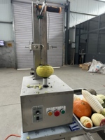 Volledig automatische elektrische fruitpelschilmachine voor mango, ananas, taro, aardappel, watermeloen en pompoen