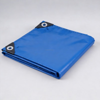 Bâche de camping robuste 800 g/m² imperméable, anti-bactérienne et coupe-vent, grande taille, en PVC enduit, idéale pour l'extérieur – Meilleure vente
