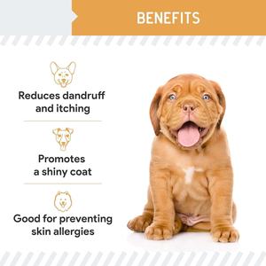 OEM Factory Multivitamins Dog Chews Pet Health Care Supplements Custom Formula Natural Dog Soft Chews Supplements and Vitamins - Product Image 2