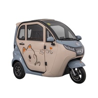 Compre en Línea Autos de 3 Ruedas de 60v 72v con Certificación EEC COC al Precio Más Bajo de China