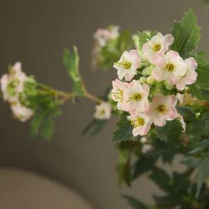 库存栩栩如生的白色三头单茎78厘米丝绸人造雪球人造植物家居插花装饰 - Product Image 3