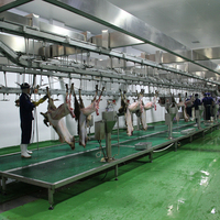 Bac à main en acier inoxydable industriel à commande au pied avec stérilisateur de couteaux pour abattoir et équipement de traitement de la viande