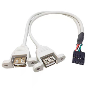 สายเคเบิลอะแดปเตอร์ 9 พินเป็น USB 2.0 แบบคู่พร้อมรูสกรู สีดำ ทองแดงทั้งหมด ขึ้นรูปด้วยวิธีฉีดขึ้นรูป - Product Image 3