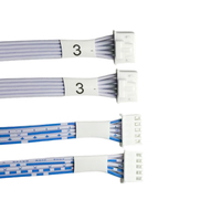 Maßgefertigtes 2468 24AWG Verzinntes Kupferleiter PVC-Isoliertes Blau-Weißes Flachbandkabel PH2.0-5P Adapter mit 20cm Länge