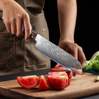 Couteaux de Cuisine et Accessoires Ensembles de Couteaux de Chef Manche en Résine Bleue Acier Damas VG10 Ensemble de Couteaux de Cuisine Japonais