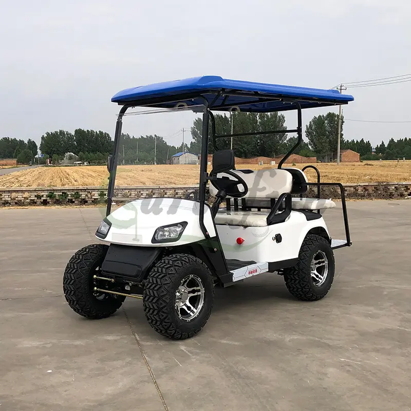 Cheap mini 4 seat 6 seat folding 48V lithium battery operated electric golf carts