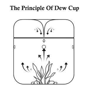 <span class=keywords><strong>Mini</strong></span> çiy toplama fincan bitkiler için nefes teraryum konteynerler, yosun, etli, çiçekler, çeşitli boyut kapaklı kavanoz handhand - Product Image 5