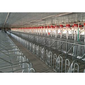 Caisses de gestation porcine personnalisées en vente chaude Cage de maternité pour truies porcines avec mangeoire Équipement de ferme porcine galvanisé - Product Image 5