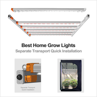 Koray Haute Efficacité Horticulture Lumière LED Moteur LED Module Linéaire Médicinal/Micro Plante Verte Lumière EVO
