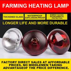Huiqi lampe <span class=keywords><strong>chauffante</strong></span> infrarouge E27 ampoule 100W 150W 250W lampe de physiothérapie infrarouge - Product Image 2