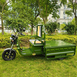 Véhicule 100 % Électrique pour Usage Agricole Dépôt Europe Puissant Tricycle Benne Électrique - Product Image 3