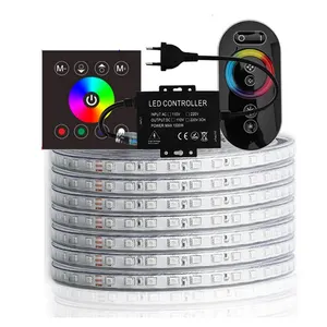 Tira de luces LED RGB con mando a distancia RF de alto brillo, cinta de diodos resistente al agua, 220 V, 220 V