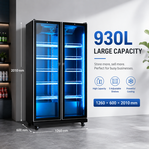 Réfrigérateur commercial vertical <span class=keywords><strong>930L</strong></span> à double porte vitrée, sans givre, pour supermarché et magasin de proximité - Product Image 5