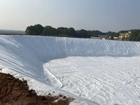Geotextil de Refuerzo Antienvejecimiento, Tejido de Fibra Discontinua de Alta Tenacidad, Dimensionalmente Estable para Proyectos de Recuperación de Terrenos