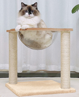 En gros : Arbre à chat avec griffoir, lit pour chat capsule spatiale, maison pour chat transparente et arbre à chat intégré, articles pour chats