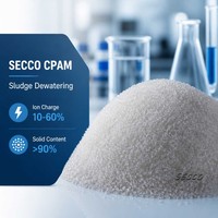 Polyacrylamide Cationique (CPAM) en Poudre Blanche, Floculant pour la Déshydratation des Boues et le Traitement de l'Eau