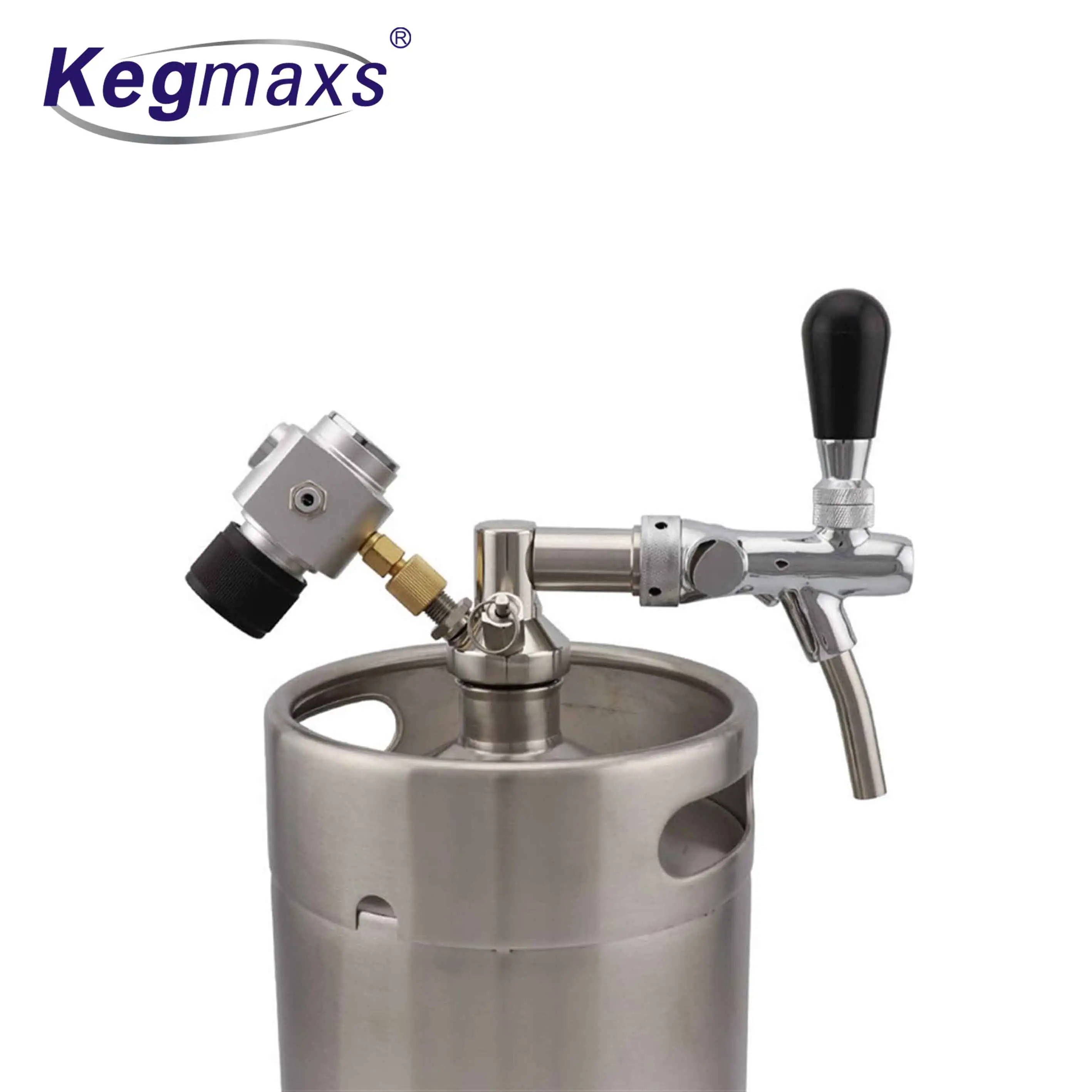 Kegmaxs Beer Dispenser Stainless Steel Beer Growler Spear With CO2 Charger Kit And Ajustable Draft Faucet 5L Beer Keg