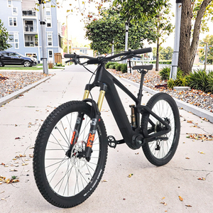 <span class=keywords><strong>Bicicleta</strong></span> Eléctrica de Montaña Bafang M820 de Fibra de Carbono EMTB de <span class=keywords><strong>29</strong></span> <span class=keywords><strong>Pulgadas</strong></span> - Product Image 1