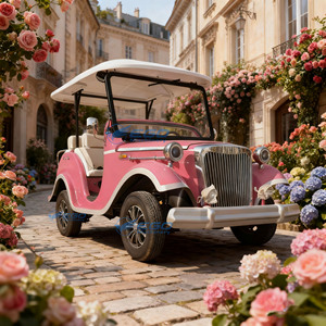 Voiture électrique classique rose rétro de haute qualité, idéale pour le tourisme et les visites de sites touristiques, à vendre - Product Image 2