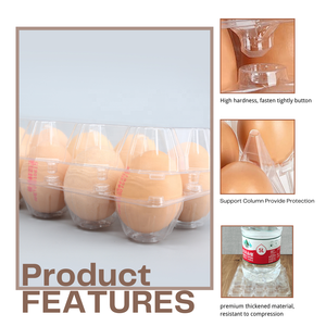 Factory Supply Kunden spezifischer Eier behälter Kunststoff-Eier karton Transparente Verpackung Eier ablage Löcher - Product Image 4