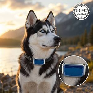 Logo personalizzato GSM GPRS Wifi Pet Tracker GPS impermeabile con collare in pelle <span class=keywords><strong>per</strong></span> cane/gatto localizzatore perso - Product Image 1
