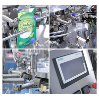 Automatische Waterhoning Doypack Verpakking Yoghurtpasta Vulling Voorgemaakte Zakje Vloeibare Wasmiddel Mylar Zak Verpakkingsmachine