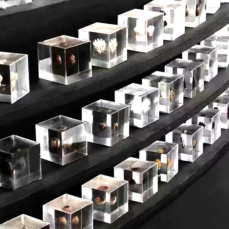 Mur végétal transparent ys8854