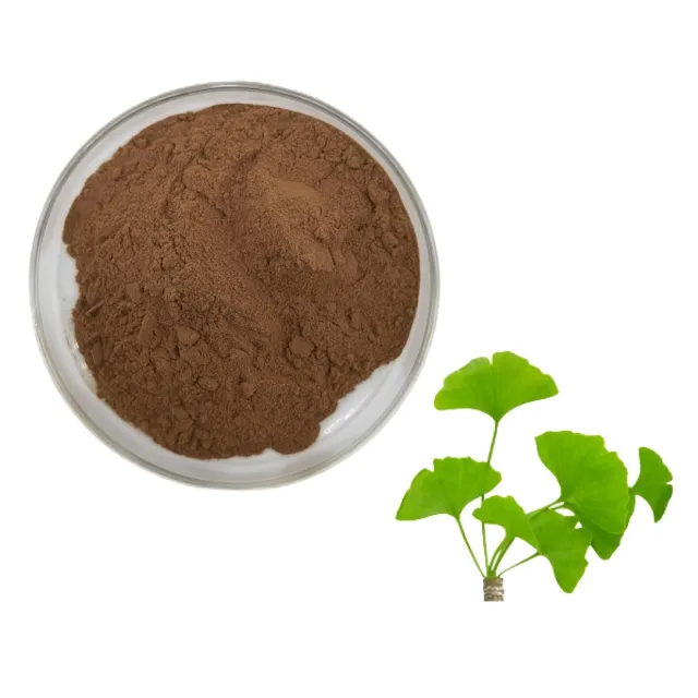 Extrait de Ginkgo Biloba en poudre, 24% Flavones, 6% lactones, livraison rapide, entrepôt européen