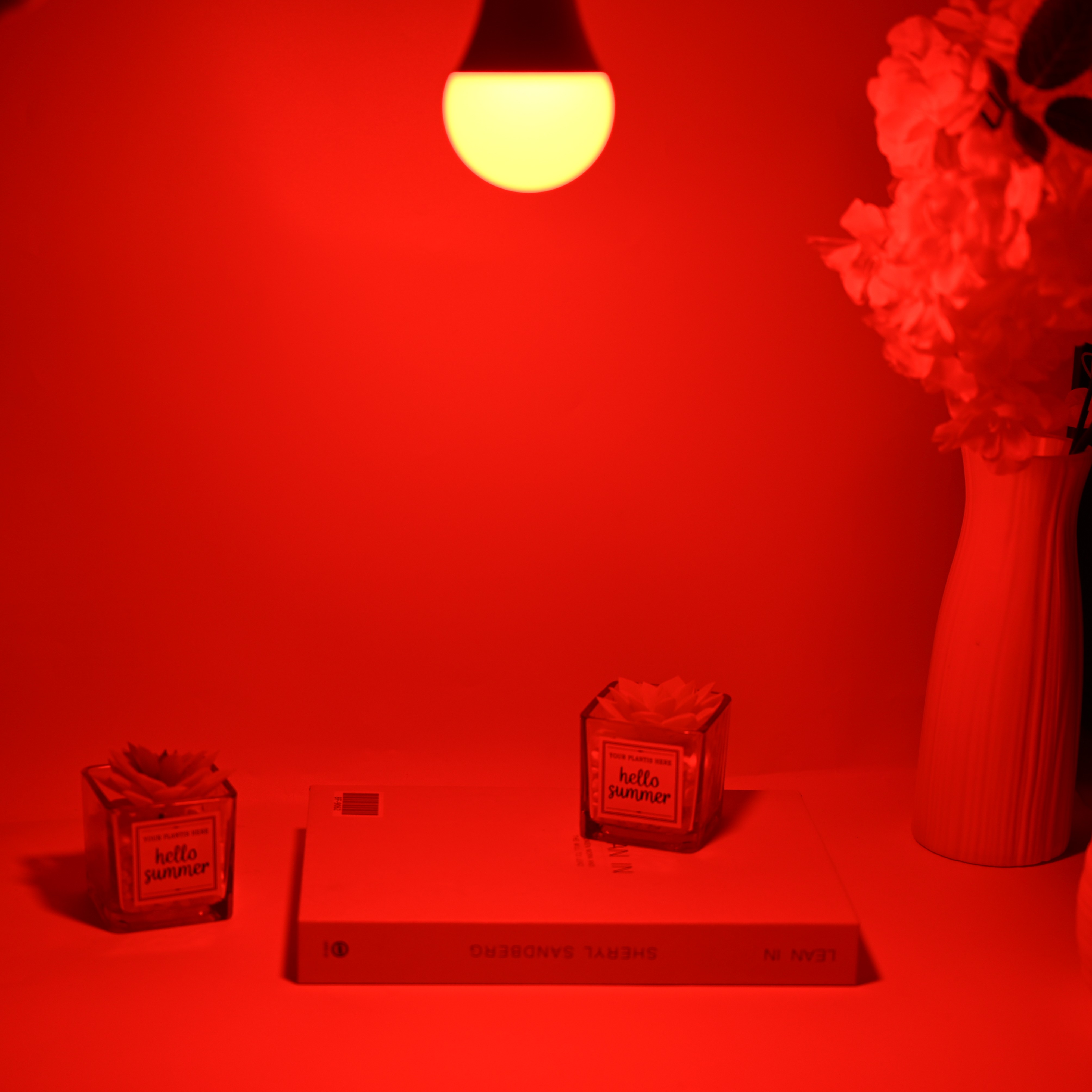 Rojo