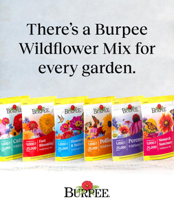 Wildflower 25,000 Bulk Flower 18 Variety Pack pour colibris et papillons Pots au design moderne pour l'extérieur et la maison - Product Image 5