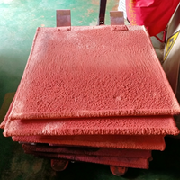Machine d'électrolyse de cuivre cathodique à production quotidienne de 50 kg pour le recyclage électrolytique des liquides de rejet de sulfate de cuivre