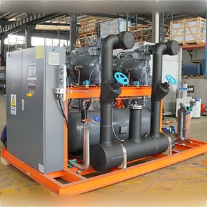 125hp Parallel 250tons Capacity Air Cooled Compressor Rack Condensing Units For Cold Freezer