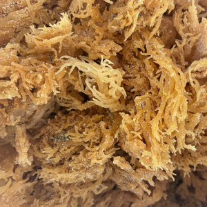 วัตถุดิบธรรมชาติสำหรับทำอาหารส่วนประกอบอาหารและเครื่องดื่มจากเวียดนามมอสทะเลแห้งจำนวนมาก - Product Image 1