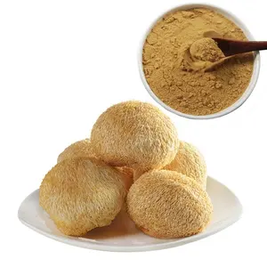Extract Powder Immune System Booster Lion's Mane Mushroom Powder Available 20kg