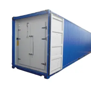 Complete 20ft 40ft Container blast freezer for food processing factory
