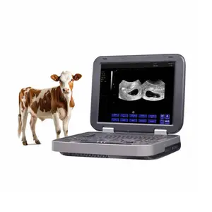 Veteriner sığır at için yeni varış ucuz veteriner ultrason makinesi ultrason makinesi