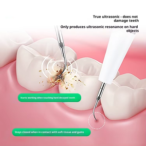 Curretes listrik menangani kawat ekor mesin dokter hewan, Handpiece Ultrasonido <span class=keywords><strong>Cavitron</strong></span> untuk dokter gigi ultrasonik - Product Image 4