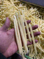 Volautomatische Bevroren Frietjes En Chips Productielijn Gebruikt Voor De Voedselverwerkende Industrie