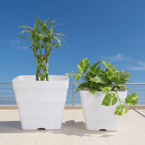 Jardinières carrées blanches en PP avec trous de drainage pour usage intérieur et extérieur, design moderne et minimaliste, petits pots de fleurs - Product Image 1