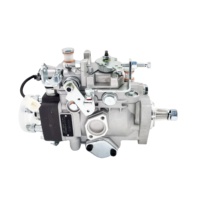 VE Diesel Engine Fuel Injection Pump Assembly 104645-8742 VE4/10F2000RNP2045 for MITSUBISH 4D56 Engine for Replace/repair
