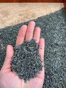 Nouveau <span class=keywords><strong>Thé</strong></span> Vert Chunmee 41022AAAAA/4011AAAAA – <span class=keywords><strong>Thé</strong></span> Vert Chinois Minceur Sain – Fabricants Disponibles – Emballage en Sachet en Vrac - Product Image 2