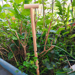 32.3cm outil d'ameublissement de sol en bambou conception d'insertion de fourche pour les plantes en pot parterres de fleurs outil de culture de jardinage - Product Image 2